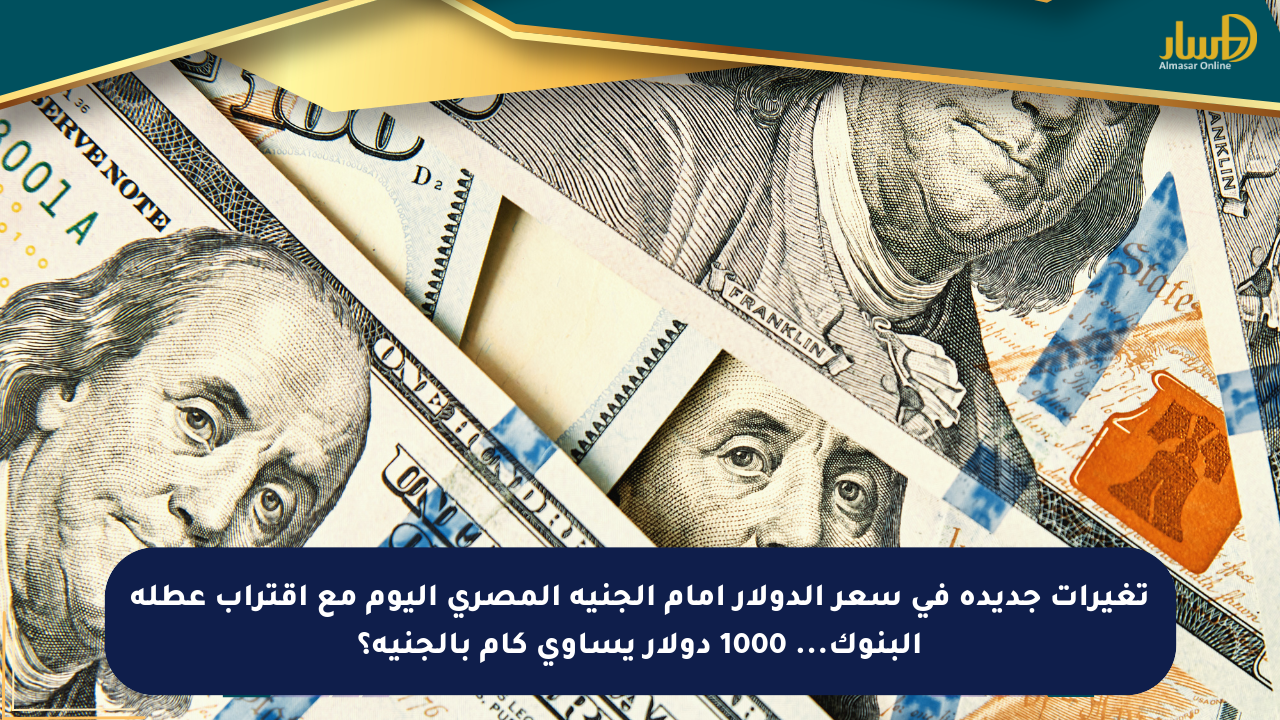 تغيرات جديدة في سعر الدولار أمام الجنيه المصري اليوم مع اقتراب عطلة البنوك… 1000 دولار يساوي كام بالجنيه؟